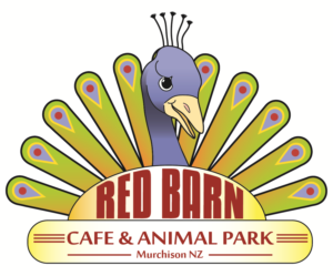 Logo Design by Global Stars Agency