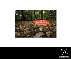 Logo Design by Carla T. for this project | Design: #2590802