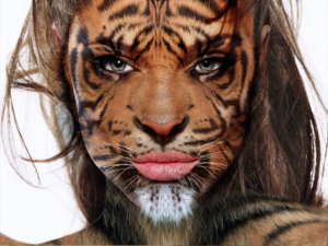 Photoshop Design by MadCAT Designs