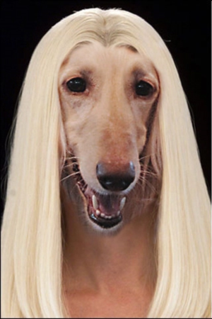 Photoshop Design by Bitttu