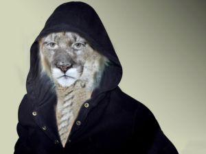 Photoshop Design by jaibysijo