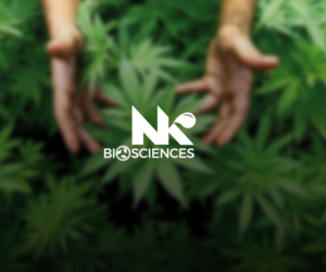 Logo Design by NEX for this project | Design: #15381164