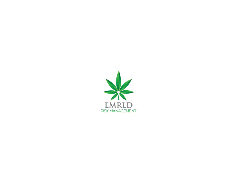 Logo Design by noishotori for Skyfront Insurance | Design #15381049