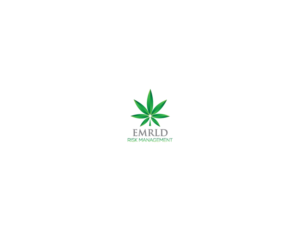 Logo Design by noishotori for Skyfront Insurance | Design: #15381049