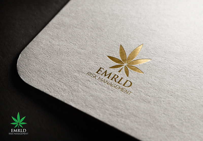 Logo Design by noishotori for Skyfront Insurance | Design #15381142