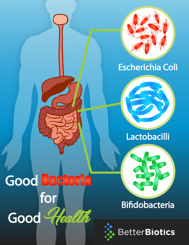 Graphic Design by DesignerGuide for BetterBiotics, Inc..  | Design #15465506