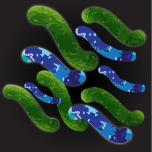 Graphic Design by betablocker for BetterBiotics, Inc..  | Design: #15500637