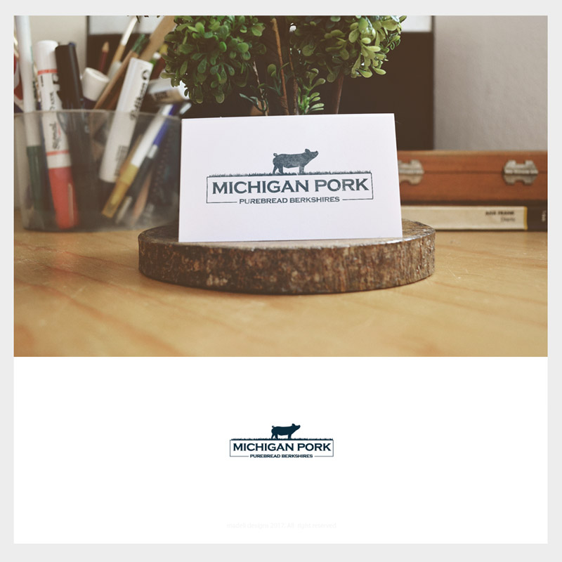 Diseño de Logo por madeli para este proyecto | Diseño #15589529