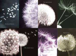 Book Cover Design by Mlle lily