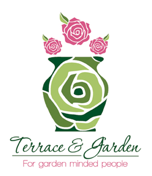 Web Design by Desire Design Solutions for this project | Design: #2629240