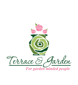 Web Design by Desire Design Solutions for this project | Design: #2632020
