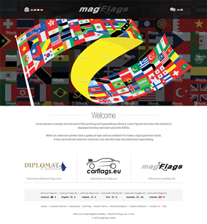 Web Design by Mayank Patel for magFlags GmbH | Design: #2650379