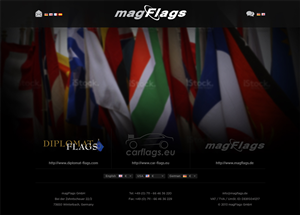 Web Design by Mayank Patel for magFlags GmbH | Design: #2662135