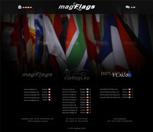 Web Design by Mayank Patel for magFlags GmbH | Design: #2666525