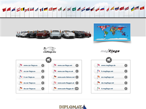 Web Design by pushCreative for magFlags GmbH | Design #2757972