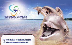 Advertisement Design by bossgraphicdesigns 2