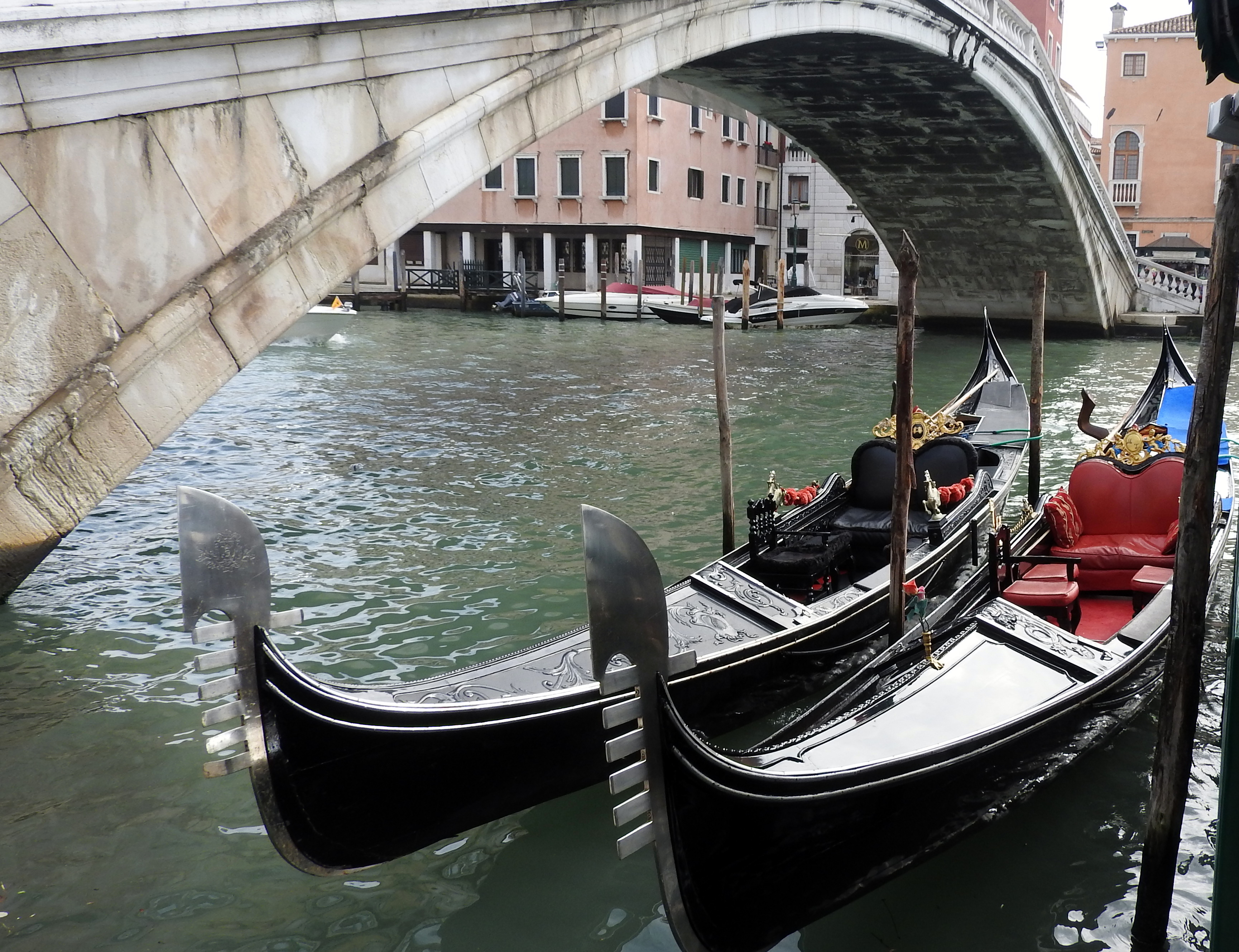 Photography by Moshik for DesignCrowd (Community Contests) | Design #15585386