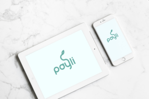 PAYLI | Logo Design by A.STUDIO