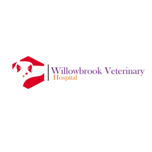 Logo Design by jepmi77
