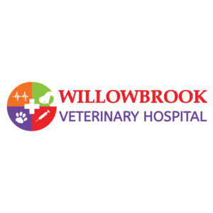 Logo Design by Archaeologo for Viva Pet Care | Design: #15456042