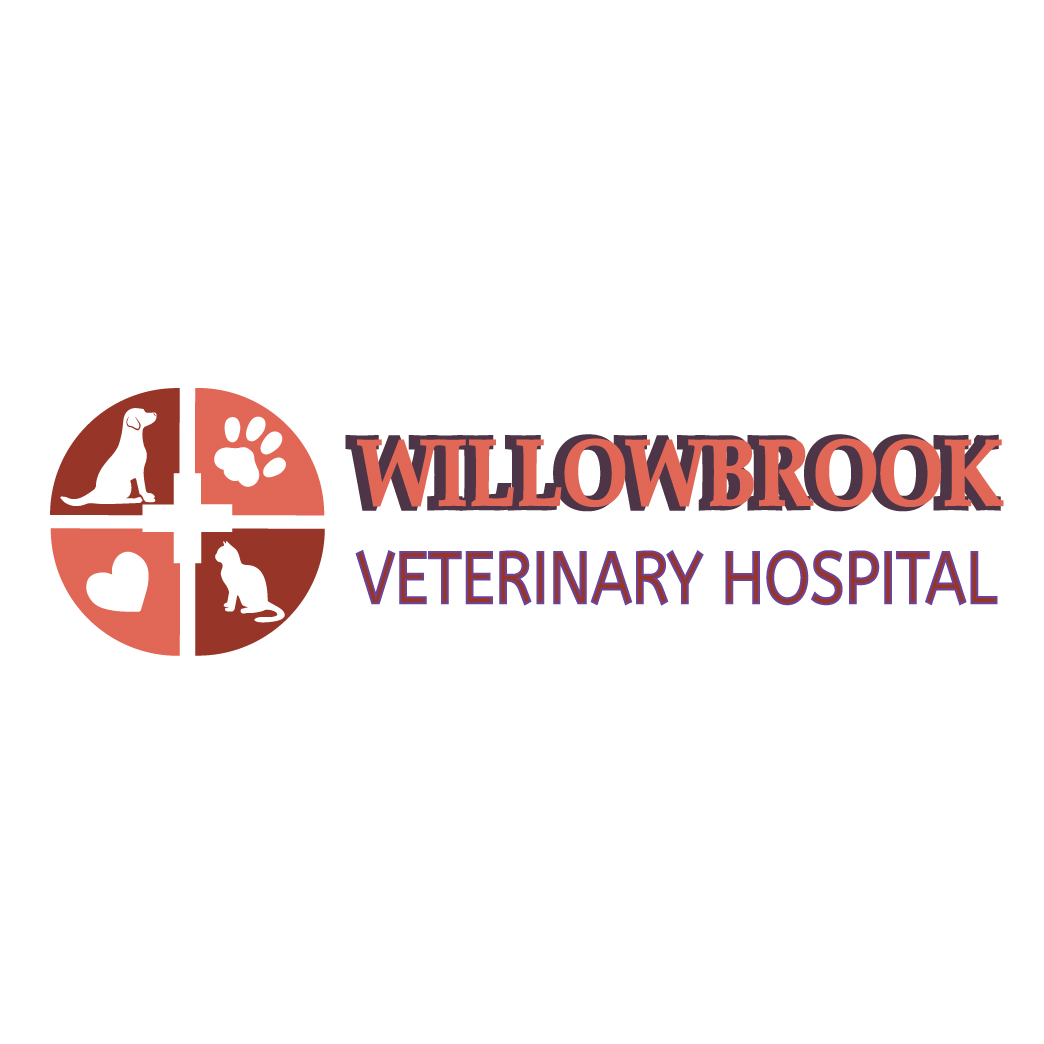 Logo Design by Archaeologo for Viva Pet Care | Design #15472096