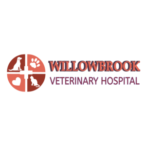 Logo Design by Archaeologo for Viva Pet Care | Design: #15472096