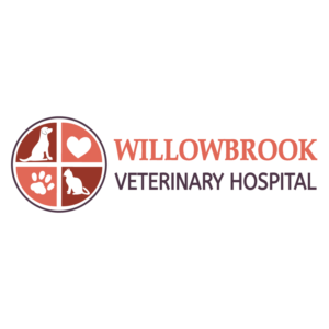 Logo Design by Archaeologo for Viva Pet Care | Design: #15500506