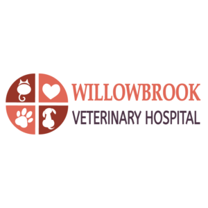 Logo Design by Archaeologo for Viva Pet Care | Design: #15510702