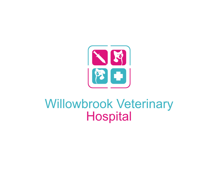 Logo Design by RetnoHandayaniDESIGNS for Viva Pet Care | Design #15444978