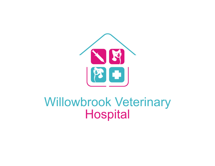 Logo Design by RetnoHandayaniDESIGNS for Viva Pet Care | Design #15444983