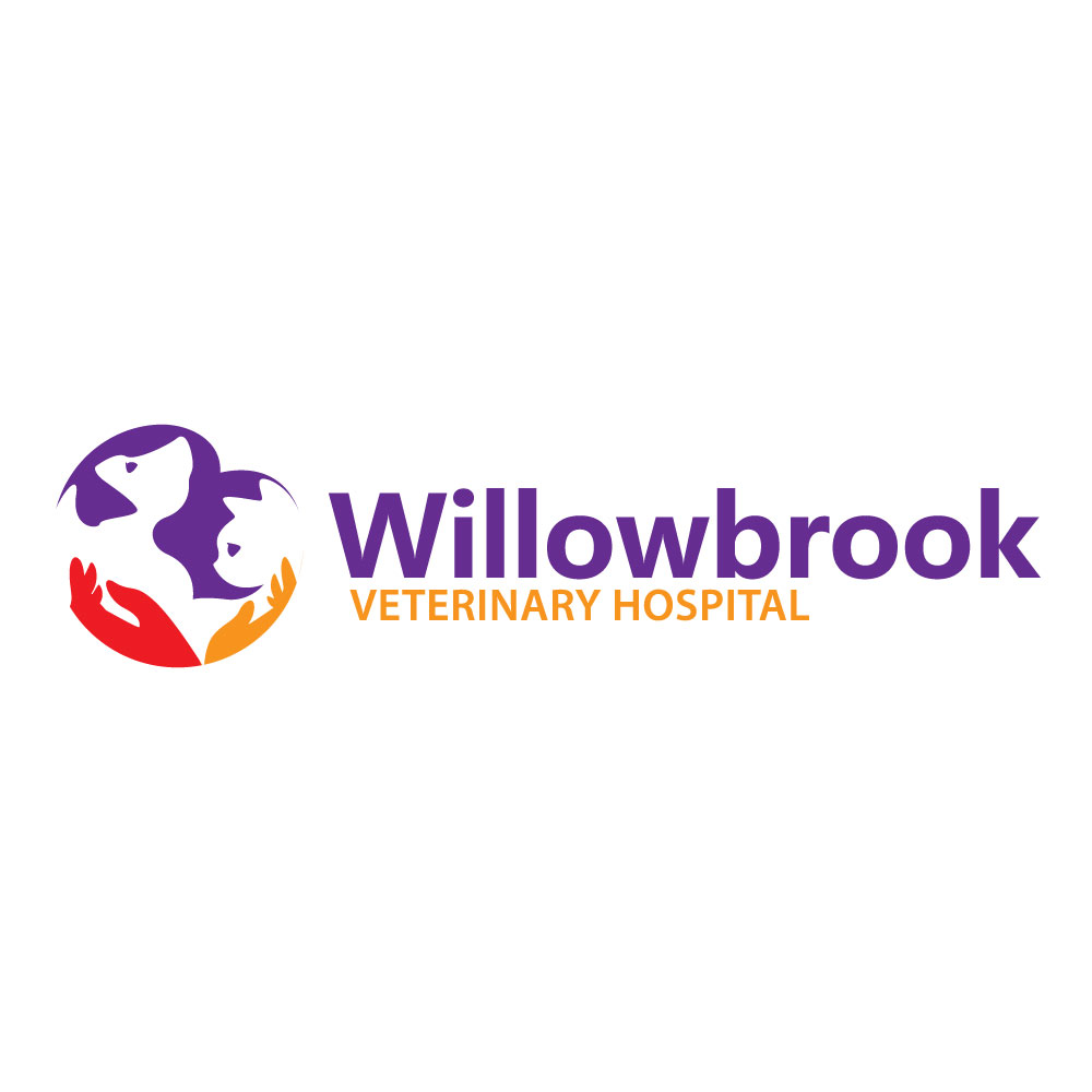 Logo Design by ReDoDesigns for Viva Pet Care | Design #15502446