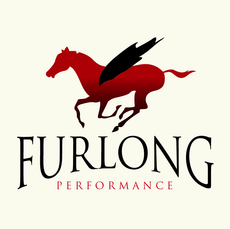 Logo Design by Design Possibilities for this project | Design #588946