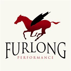 Diseño de Logo por Design Possibilities para este proyecto | Diseño: #588946