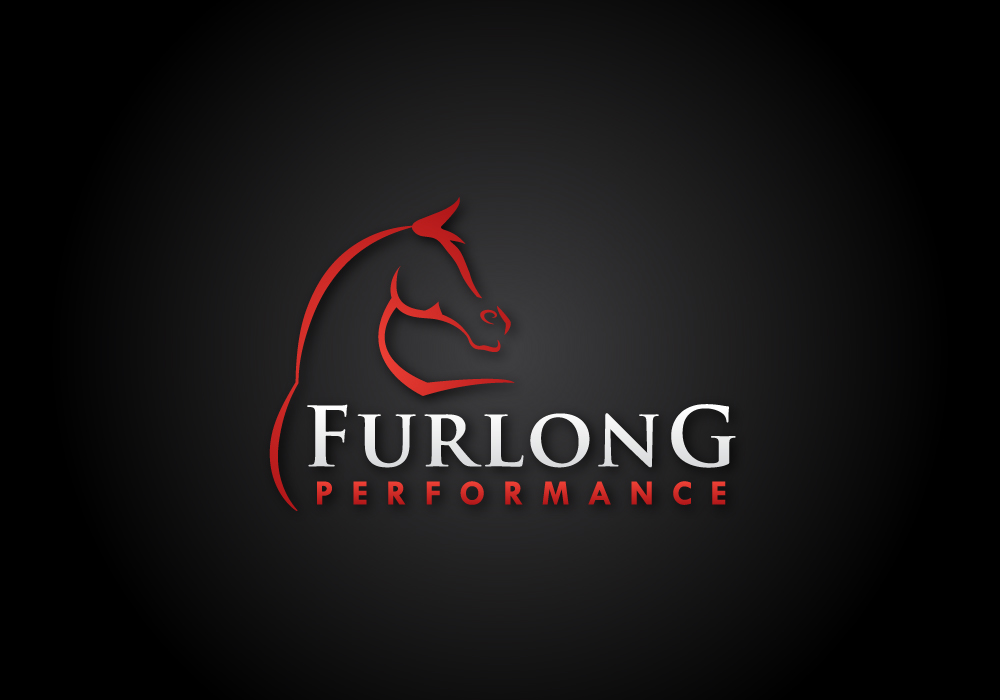 Diseño de Logo por slokker para este proyecto | Diseño #584620