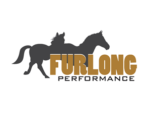 Logo Design by Anil