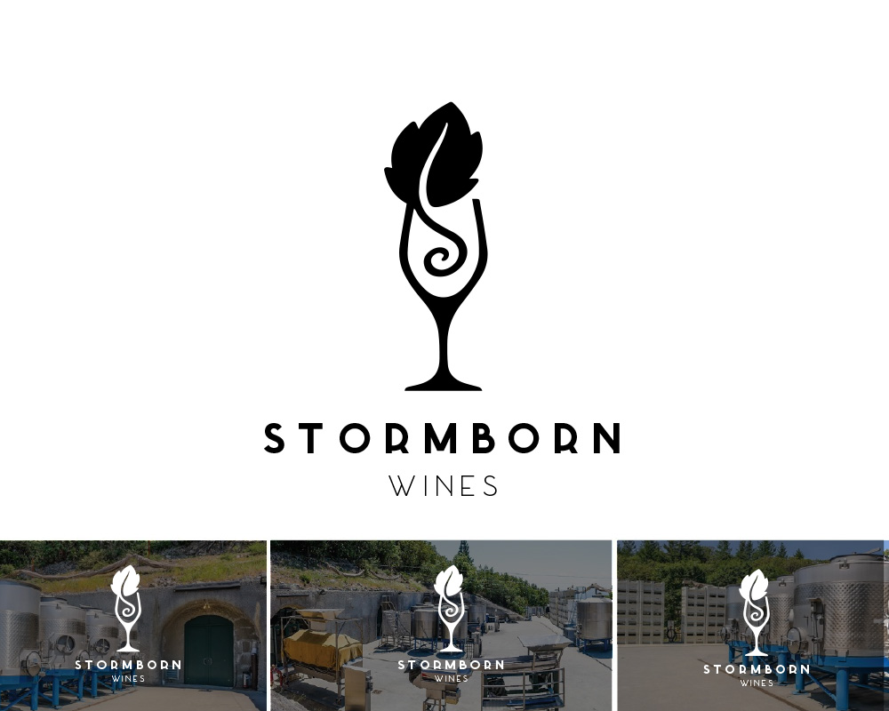 Logo Design by CR Marketing for Family Winery Consulting | Design #15607854