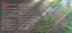 CD-Cover-Design von jshan für dieses Projekt | Design: #2669654