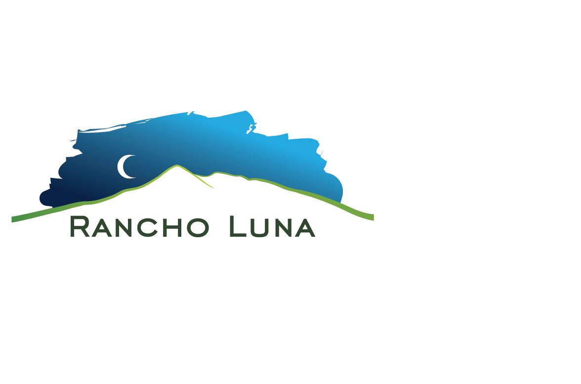 Logo Design by Design Possibilities for this project | Design #2810420