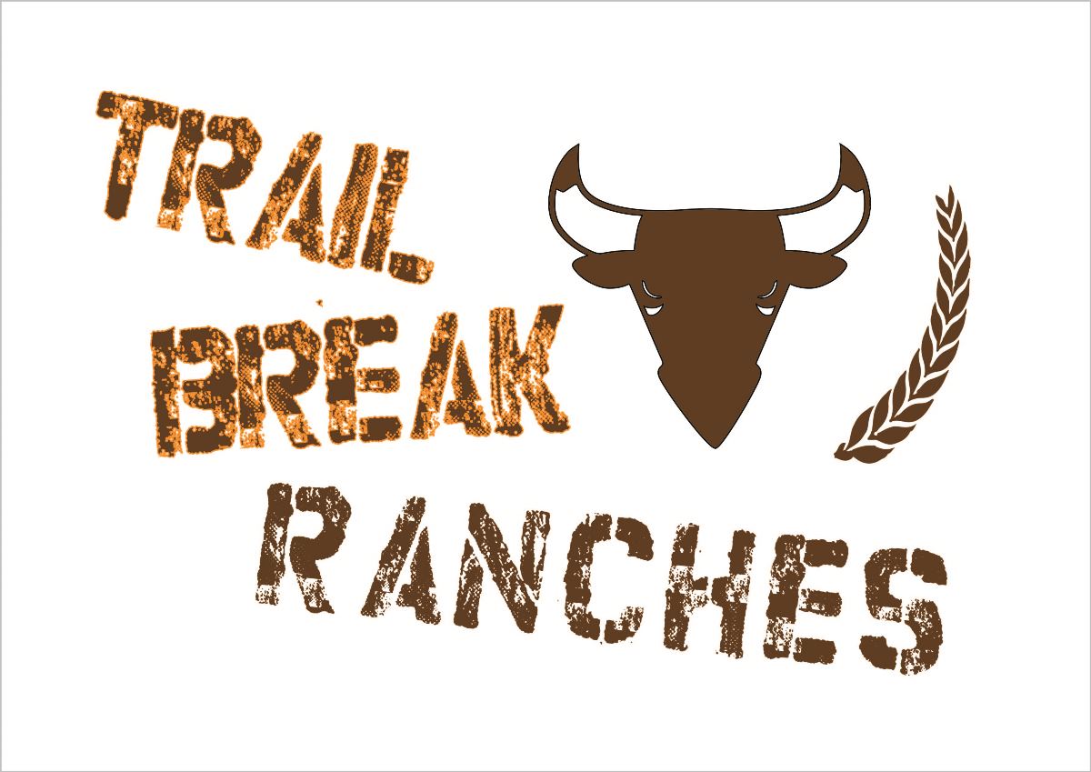 Logo Design by A Swish design for this project | Design #2639596