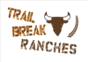 Logo Design by A Swish design