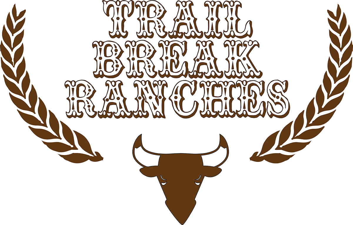 Logo Design by A Swish design for this project | Design #2639675