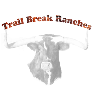 Logo Design by Colton