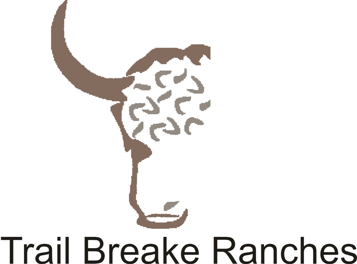 Logo Design by ionut cozma for this project | Design #2614593