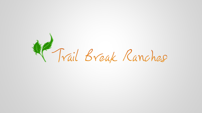 Design de Logo par Hadiah pour ce projet | Design #2633548