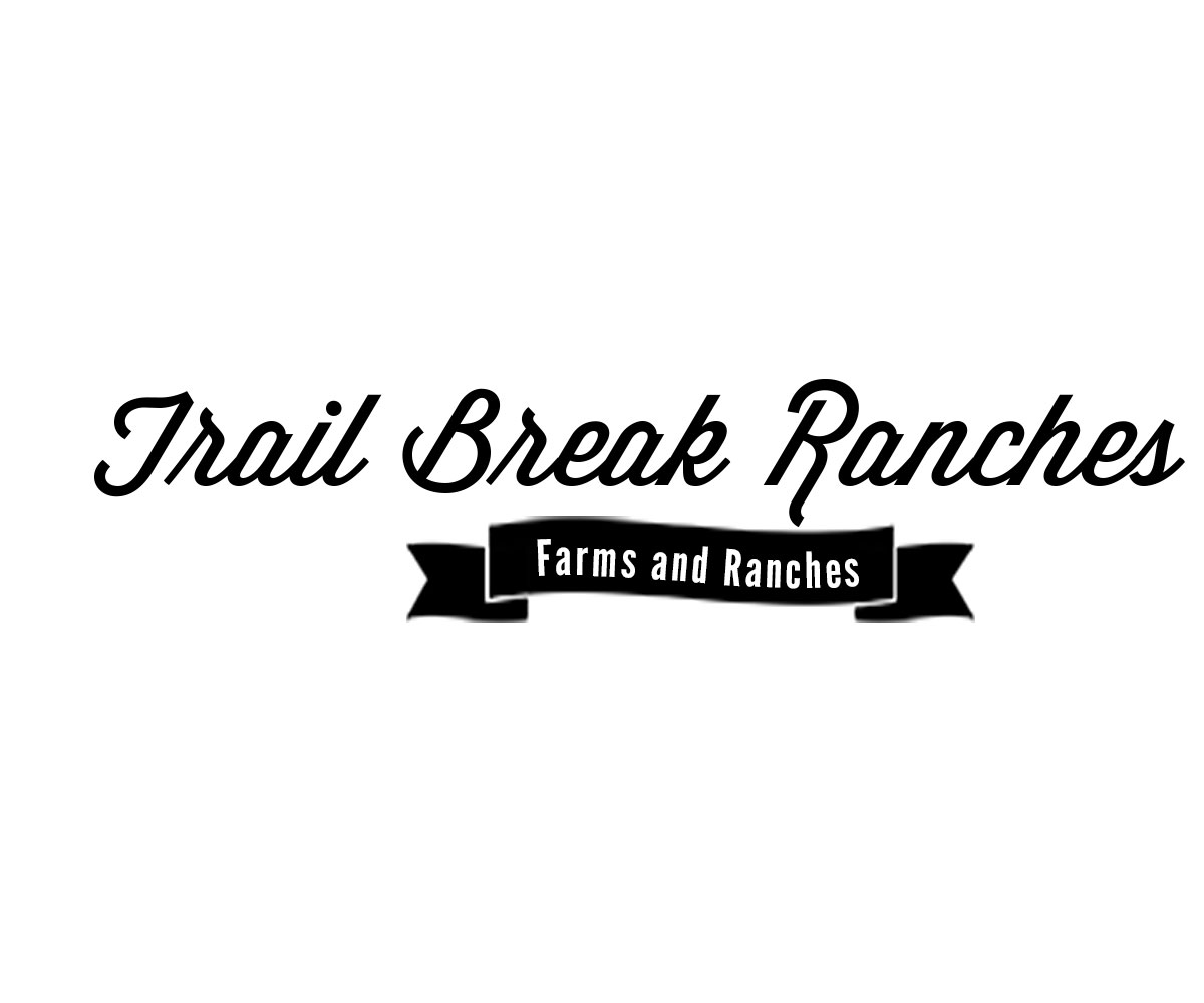 Logo Design by obeid2 for this project | Design #2600715
