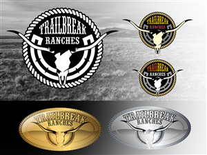 Logo Design by vladst2004 for this project | Design: #2612282