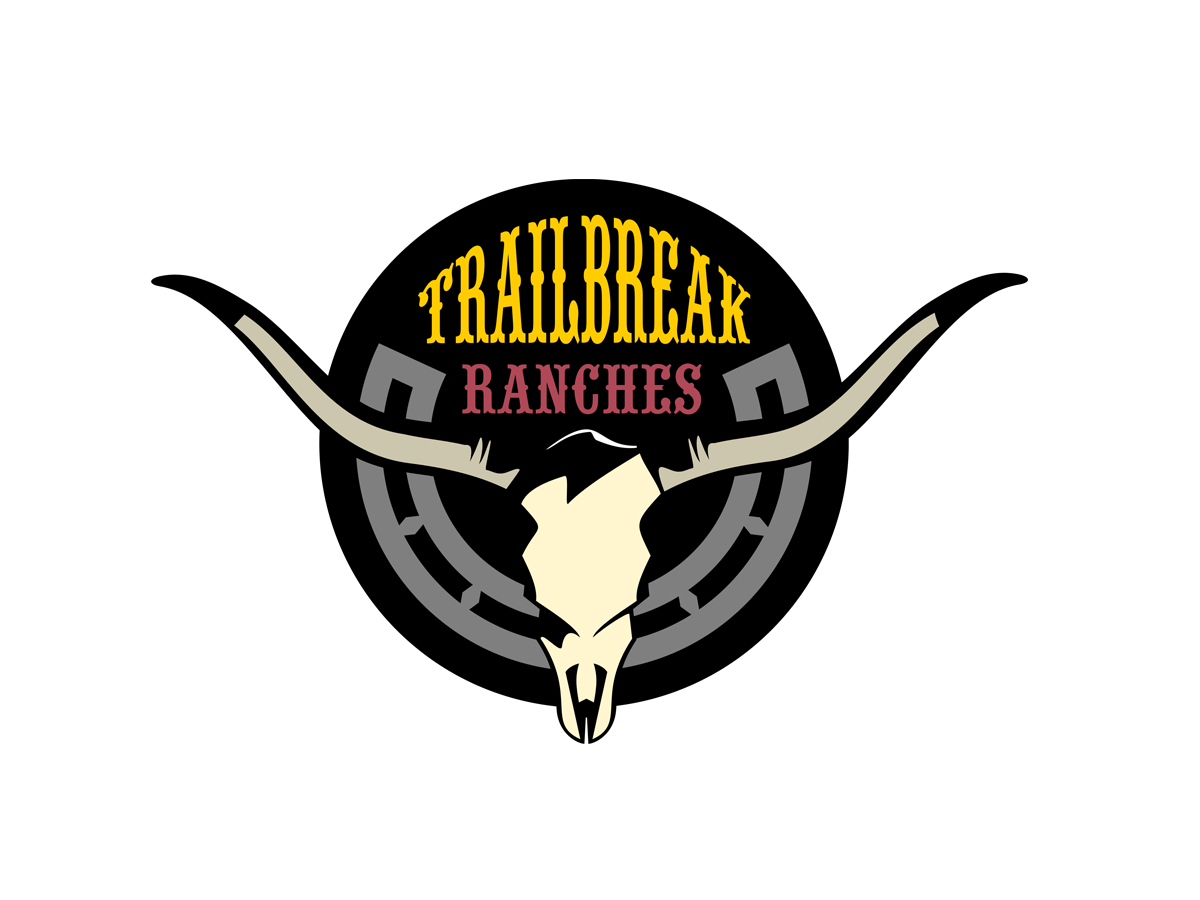 Diseño de Logo por vladst2004 para este proyecto | Diseño #2627385