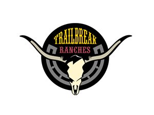 Logo Design by vladst2004 for this project | Design: #2627385