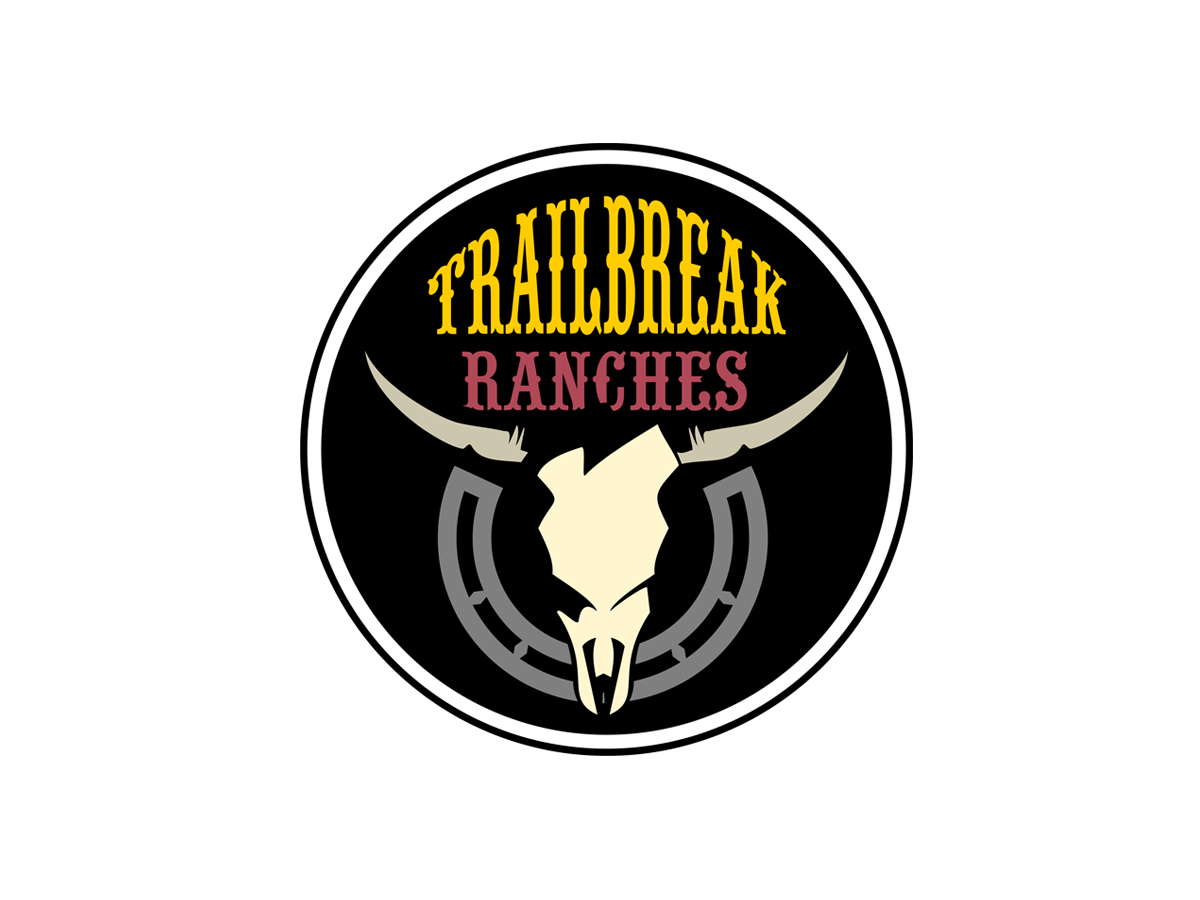 Logo Design by vladst2004 for this project | Design #2627395