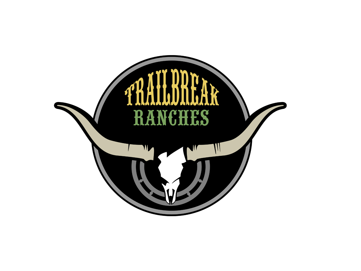 Logo Design by vladst2004 for this project | Design #2635068